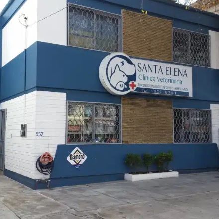 Hospital canino en Guadalajara