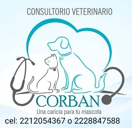 Mejor hospital veterinario en Puebla