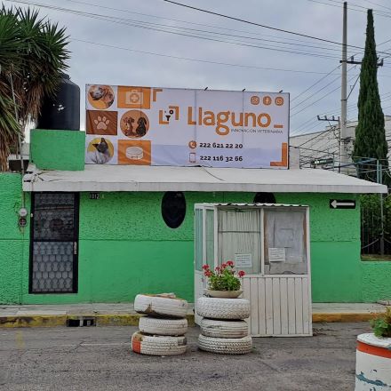 Hospital para perros en Puebla