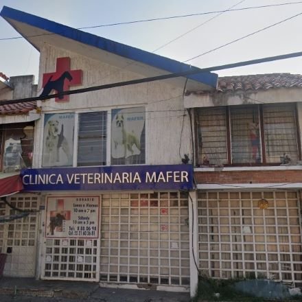 Hospital canino en Puebla