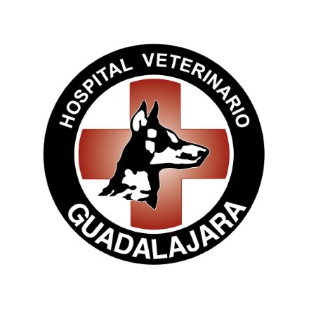 Hospital veterinario en Guadalajara