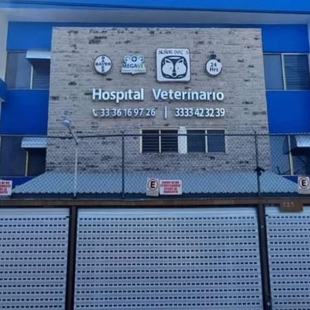 Hospital para perros en Guadalajara