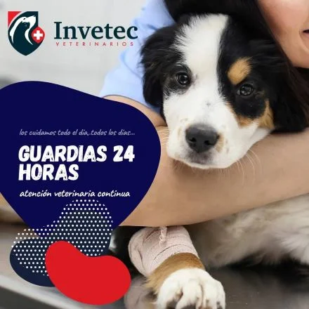 Hospital veterinario Toluca de Lerdo
