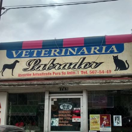 veterinaria 24 horas mexicali