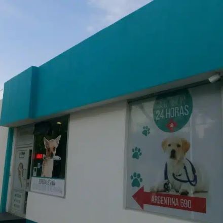 Clínica veterinaria a domicilio en Guadalajara