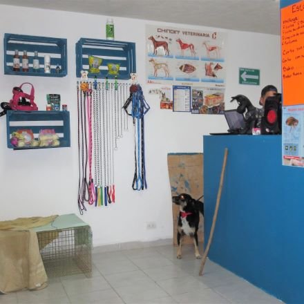 Hospital animal en Puebla