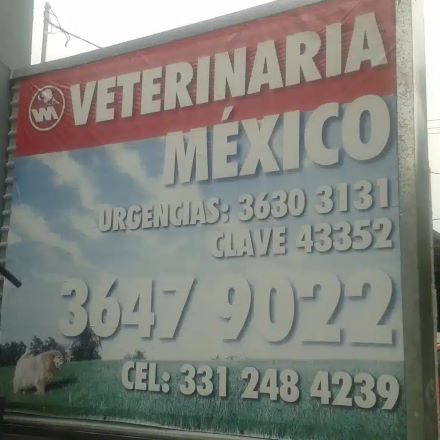 Clínica para perros en Guadalajara