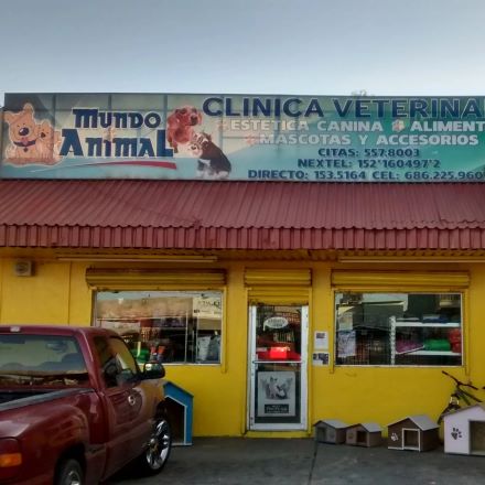 Clínica para perros Mexicali