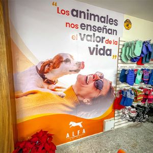 Los animales nos enseñan el valor de la vida "Lema Alfa Animal"