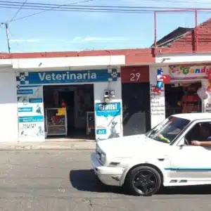 Clínica veterinaria a domicilio Cuernavaca