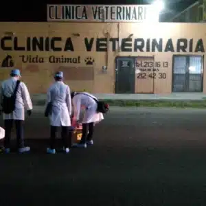 CLINICA VETERINARIA Vida Animal Hermosillo