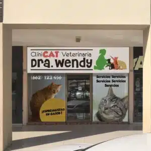 veterinaria 24 horas Hermosillo