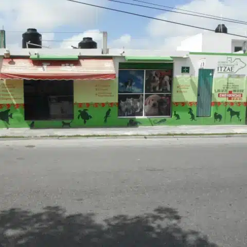 Clínica veterinaria a domicilio Cancún