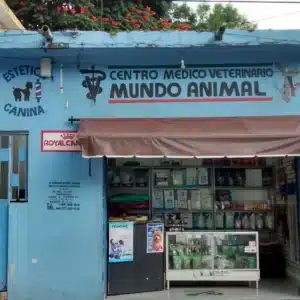 Radiográficas para perros en Cuernavaca