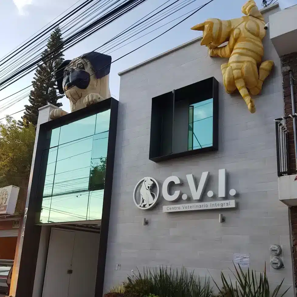 Hospital veterinario en León