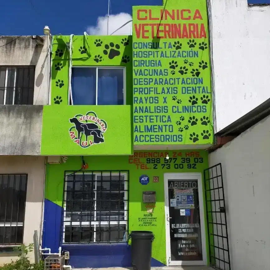 veterinaria 24 horas Cancún