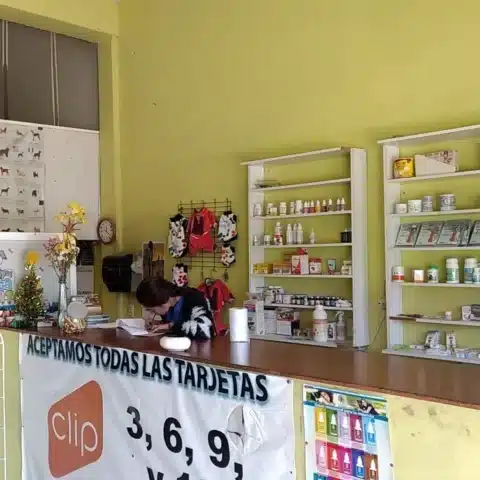 veterinaria 24 horas leon gto