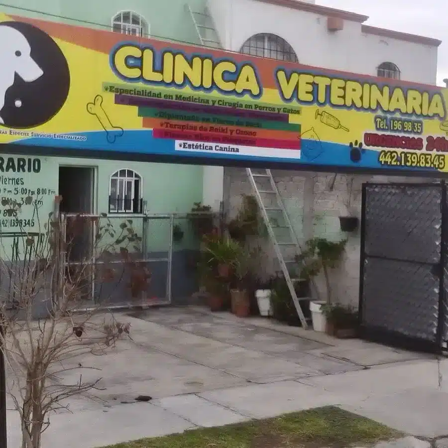 veterinario de aves en Querétaro