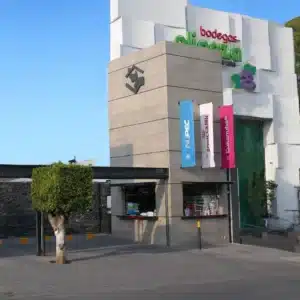 veterinaria 24 horas Cuernavaca