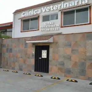 Hospital veterinario Cuernavaca