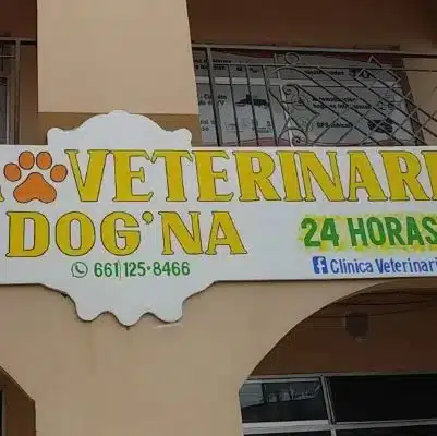 Hospital veterinario