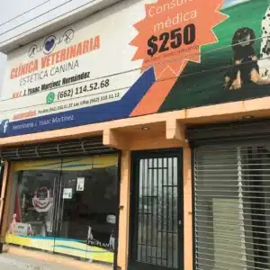 Clínica para perros Hermosillo