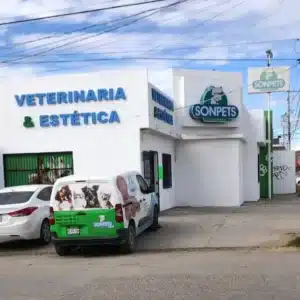 veterinario de aves en Hermosillo