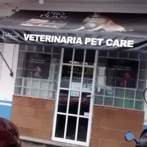 clínica veterinaria de especialidades de morelos cuernavaca mor
