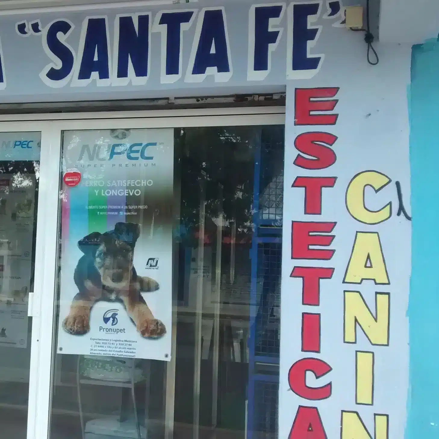 Clínica veterinaria de Cancún