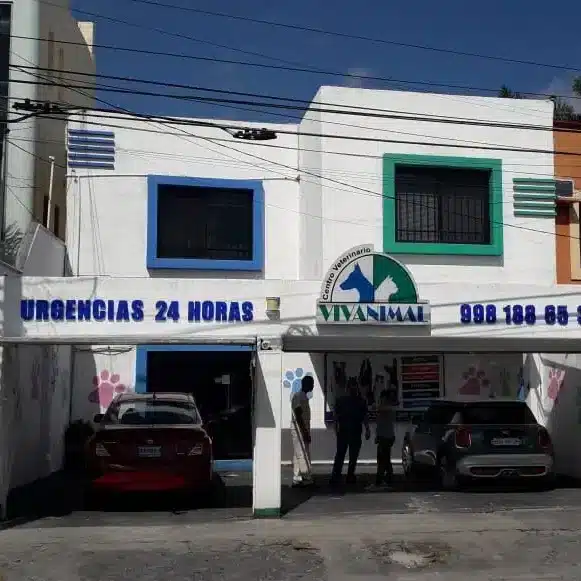 Hospital Veterinario Cancún