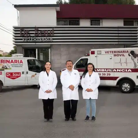 Hospital animal Saltillo