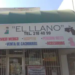 Clínica veterinaria a domicilio Hermosillo