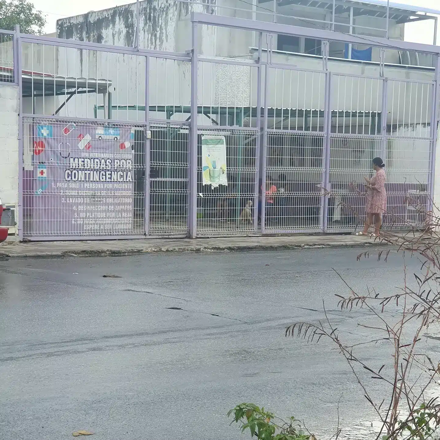 Hospital canino Cancún