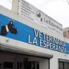 Mejor hospital veterinario en Guadalupe