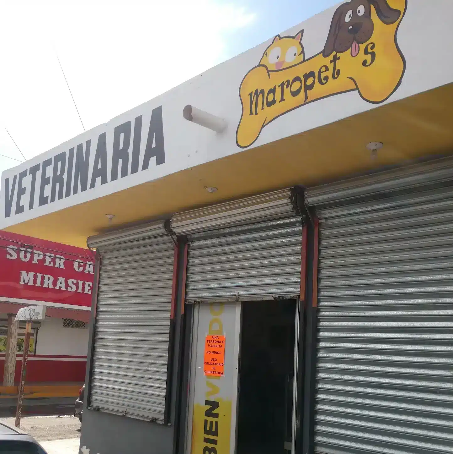 Mejor hospital veterinaria Saltillo