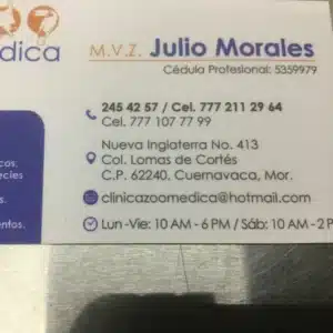 veterinarias en el centro de cuernavaca