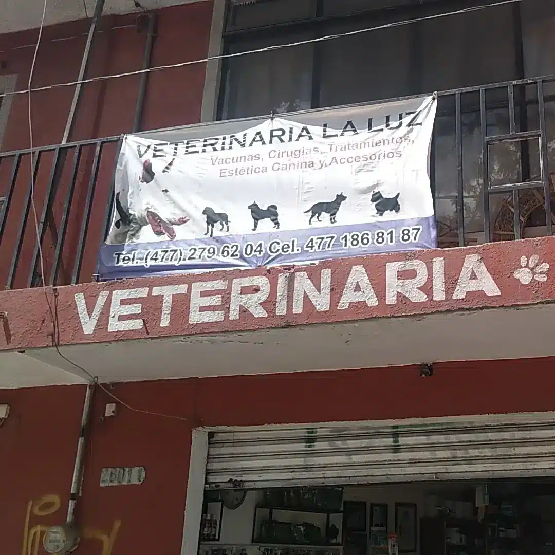 Veterinaria León gto