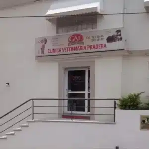 Veterinaria de aves en Cuernavaca