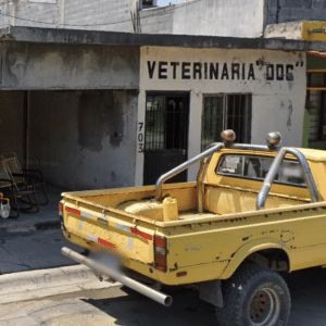 Radiográficas para perros en Guadalupe