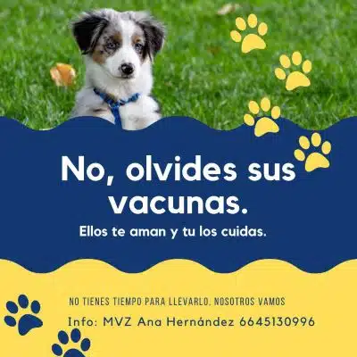 Hospital veterinario Tijuana