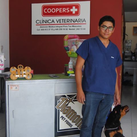 Radiográficas para perros Aguascalientes