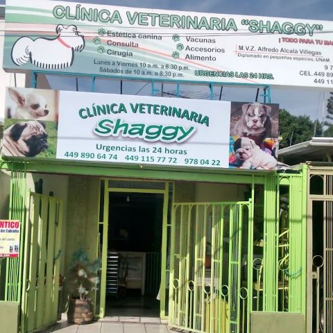 Mejor hospital veterinaria Aguascalientes